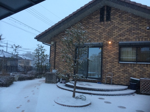 雪国　日本を堪能_b0100062_405448.jpg
