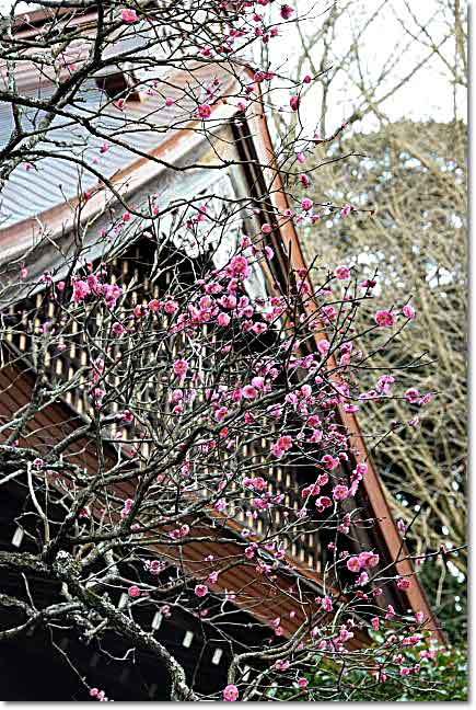 箱根湯本・・・後北条5代の菩提寺『早雲寺』_b0053765_21580241.jpg