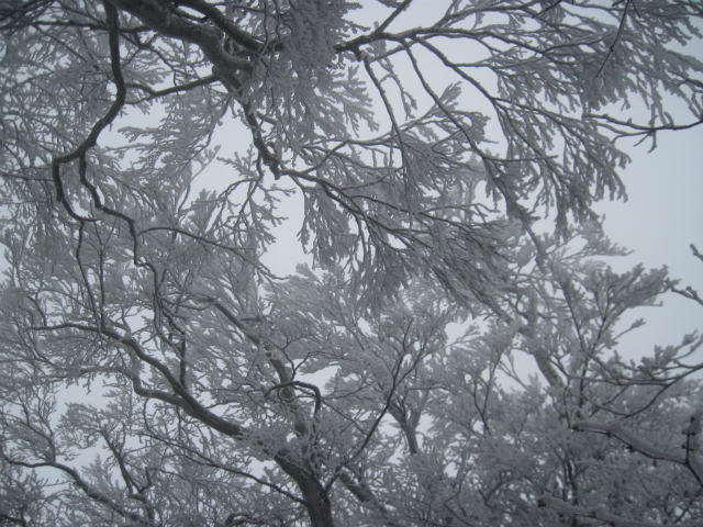 c0219866_825466.jpg