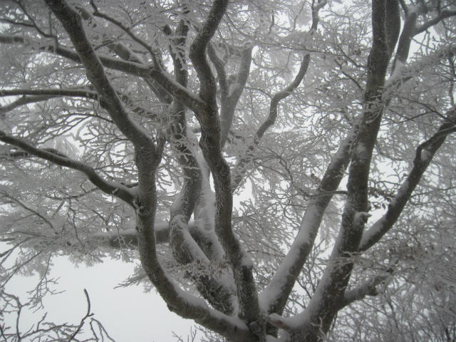 c0219866_827045.jpg
