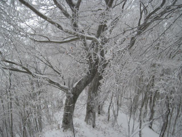 c0219866_8273353.jpg