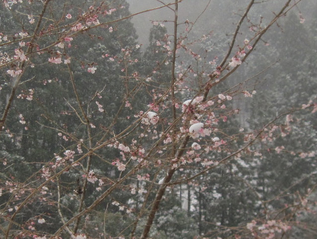 c0219866_8292199.jpg