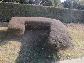 自転車のある風景　24　市野川_a0117599_21274041.jpg