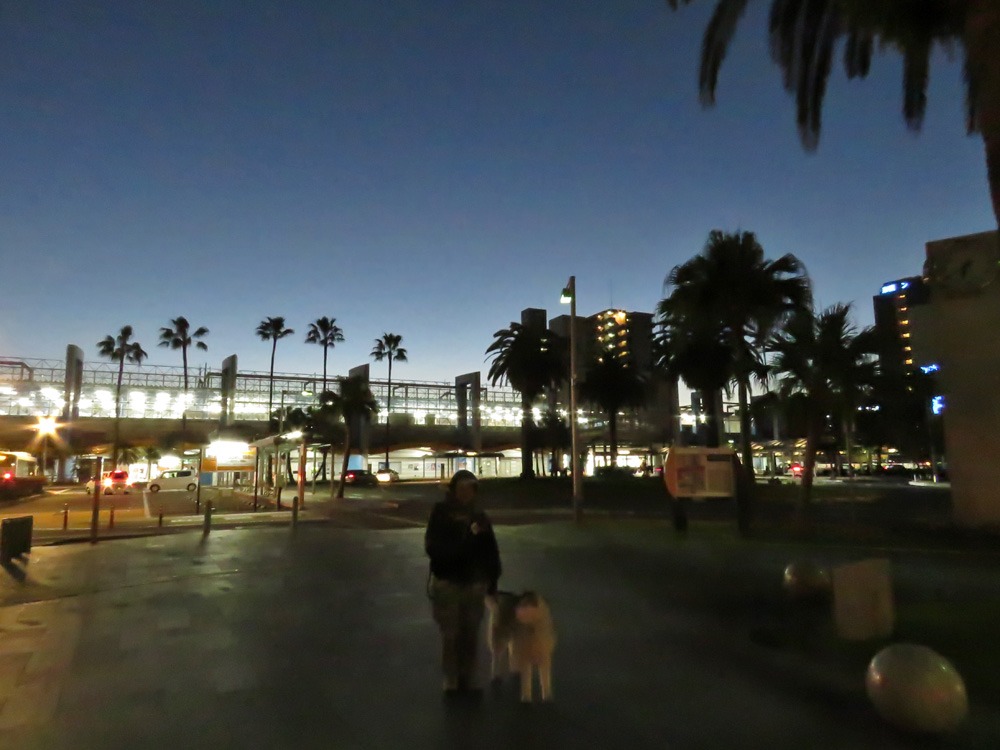c0049299_2315375.jpg