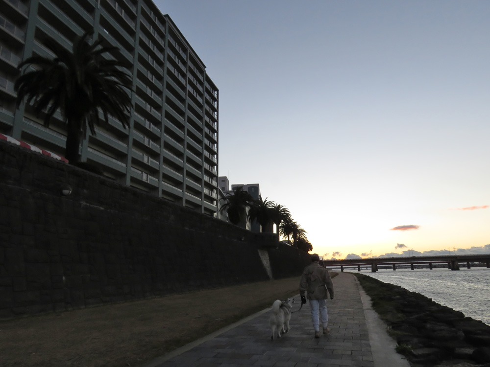 c0049299_2355186.jpg
