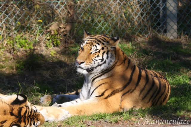 a0246703_041343.jpg