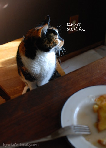 狙ってないフリ_b0253205_02483348.jpg