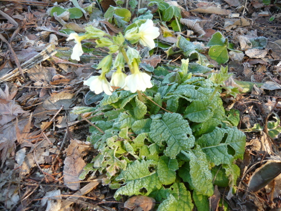a0139007_14092737.jpg