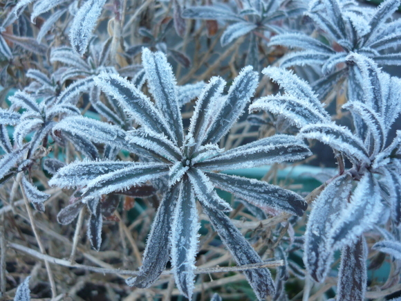 a0139007_14102635.jpg