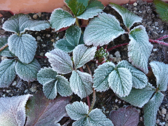 a0139007_14105566.jpg