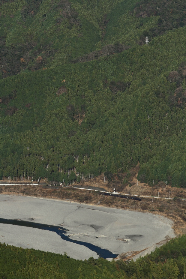 冬の緑 - 2015年冬・大井川 - _b0190710_22435765.jpg