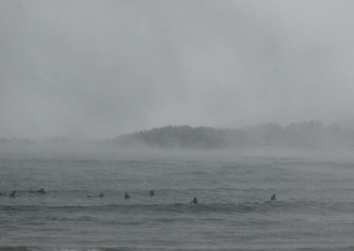 １月２２日　日本海・高浜にサーフィン？？_c0358110_22432809.jpg