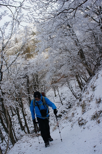 寂しき雪原　明神平_b0244811_15124145.jpg