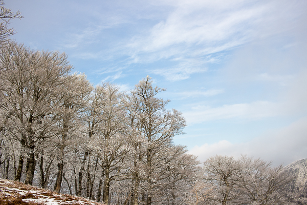 寂しき雪原　明神平_b0244811_15321391.jpg