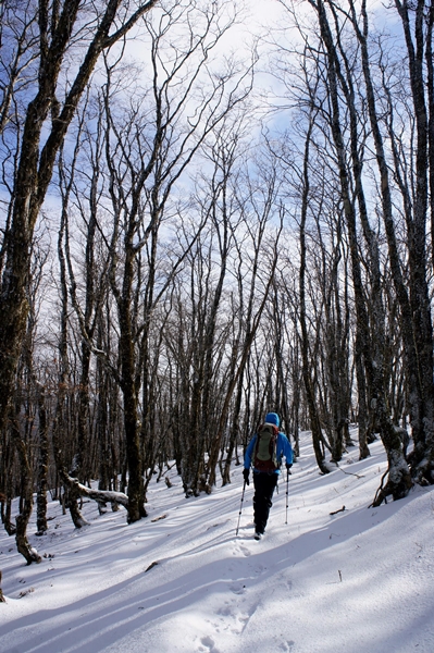 寂しき雪原　明神平_b0244811_15471160.jpg