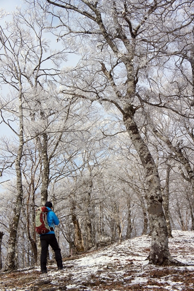 寂しき雪原　明神平_b0244811_1551871.jpg