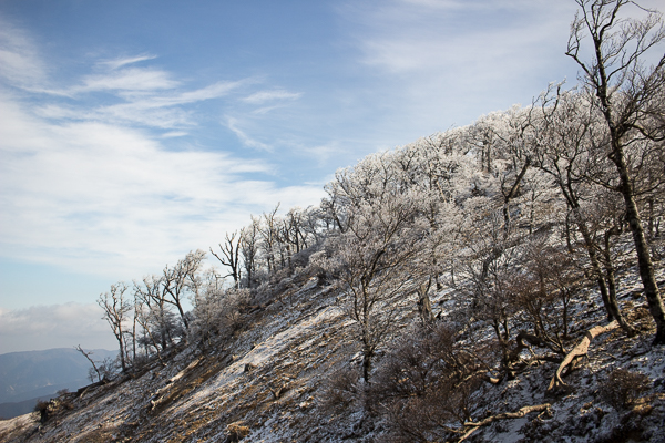 寂しき雪原　明神平_b0244811_15554614.jpg