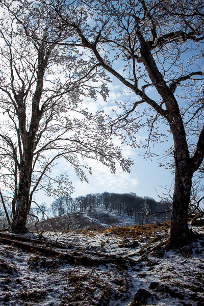 寂しき雪原　明神平_b0244811_1982579.jpg