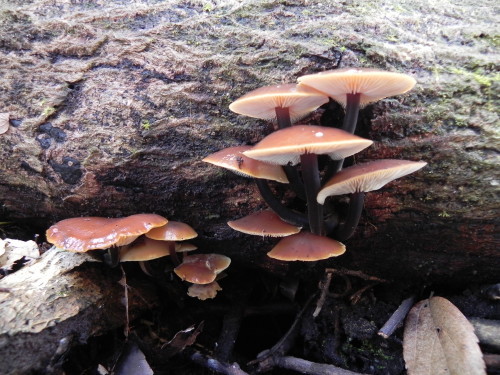 e0352220_22103399.jpg