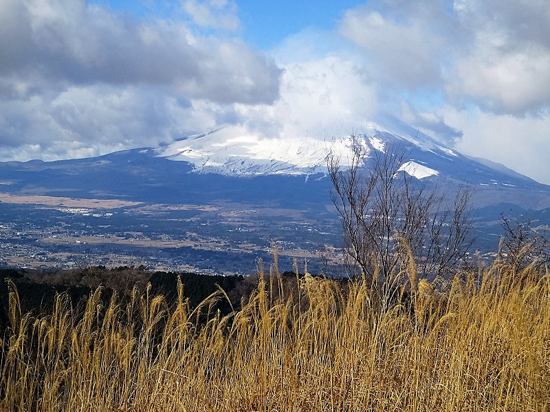 南足柄市　矢倉岳から足柄古道を歩く　　　　　Mount Yagura in Minamiasigara, Kanagawa_f0308721_5564198.jpg