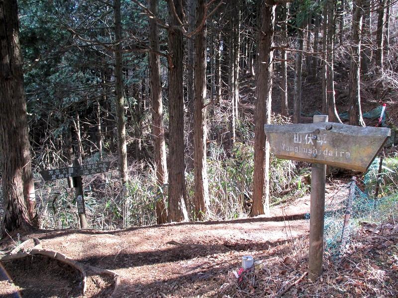 南足柄市　矢倉岳から足柄古道を歩く　　　　　Mount Yagura in Minamiasigara, Kanagawa_f0308721_5574542.jpg