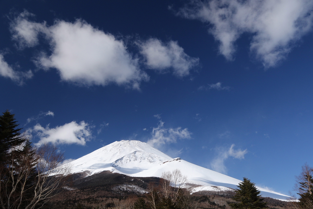 素敵な雪景色、富士山_d0240223_1529246.jpg