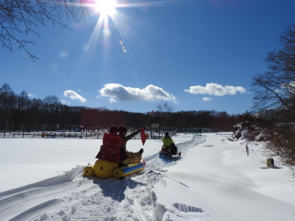 受験シーズン、雪にも負けるな！_b0174425_13244238.jpg