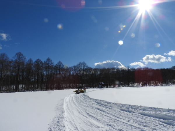 受験シーズン、雪にも負けるな!_b0174425_13505804.jpg