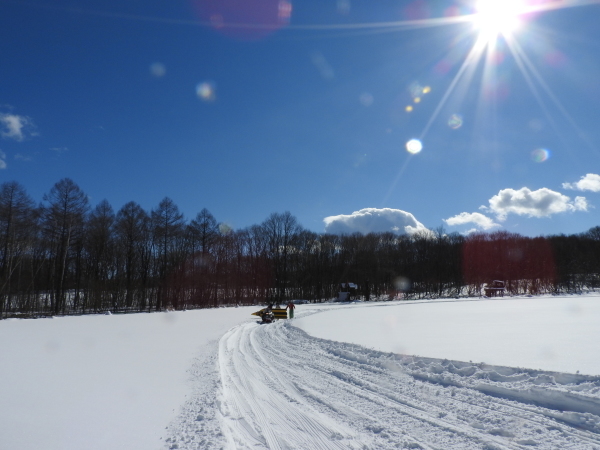 受験シーズン、雪にも負けるな！_b0174425_13505804.jpg