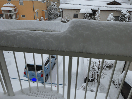 d0004426_9412956.gif
