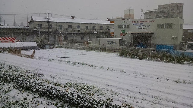 京都に遅い初雪が降りました。20160120_e0237645_9273488.jpg