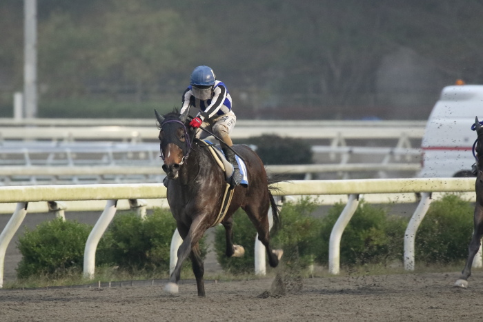 森田牧広騎手、夜さ恋ナイターで日本初勝利!!_a0077663_18312970.jpg