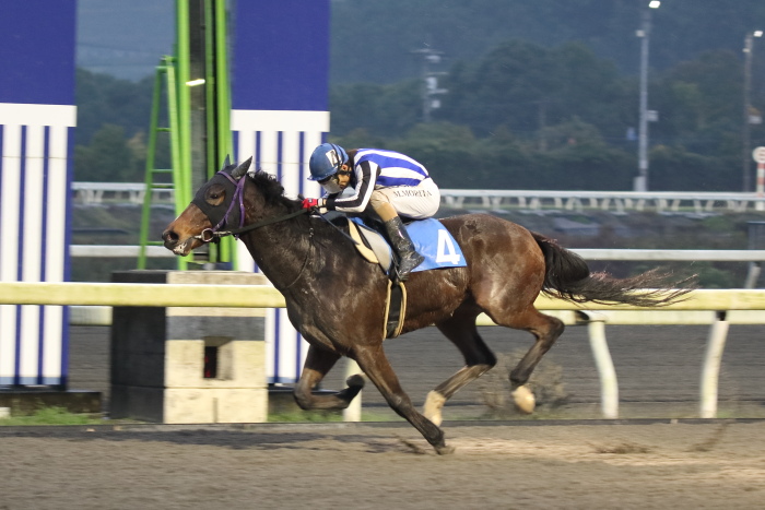 森田牧広騎手、夜さ恋ナイターで日本初勝利!!_a0077663_18313193.jpg