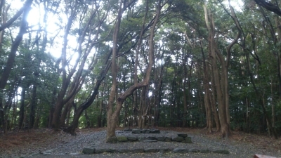 b0150665_20124635.jpg
