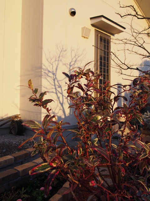 b0194267_22132498.jpg