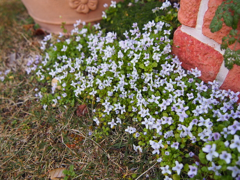 b0194267_2223477.jpg