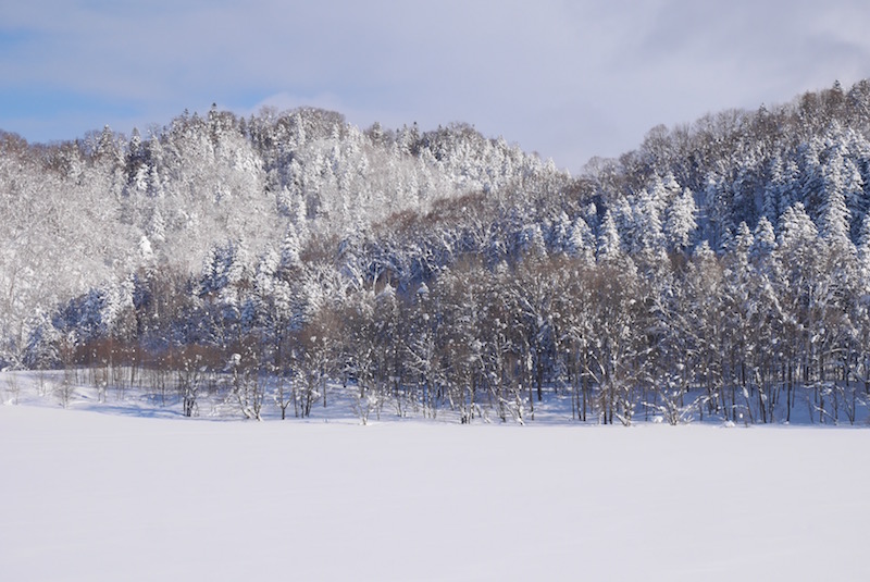 北海道　冬の上川地方_b0068572_23401493.jpg