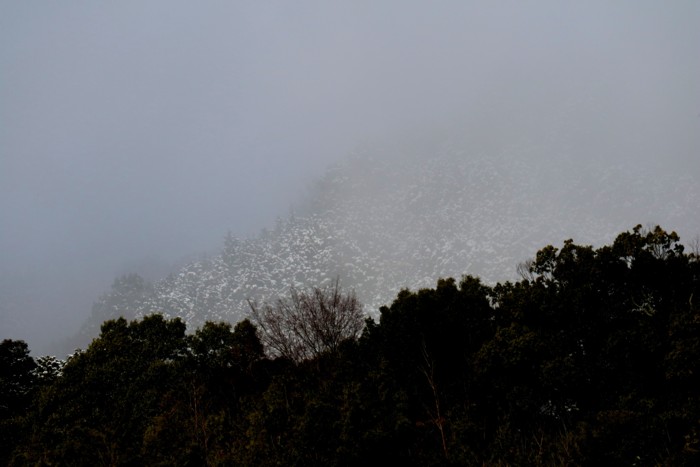 昨日のリハビリ山・・・西舞鶴愛宕山_d0178082_963793.jpg