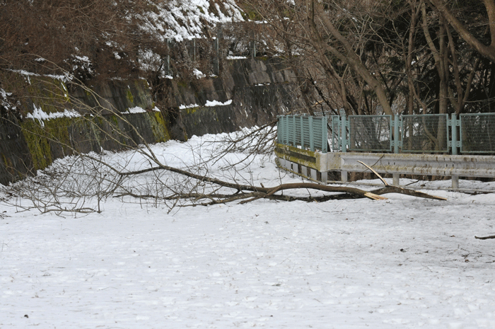 雪の林道　＜早戸川林道＞_e0248688_7427100.gif