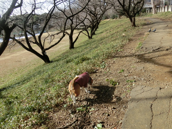 a0319693_6224143.jpg
