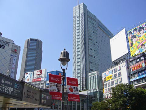 ーー2月、中頃!の、東京の気温!が、気になる!わ~。ーーハハハーー。_d0060693_1813169.jpg