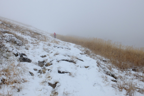 伊吹山の雪景色①雪の道を歩く_e0304001_21391550.jpg