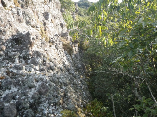 f0187402_17262410.jpg