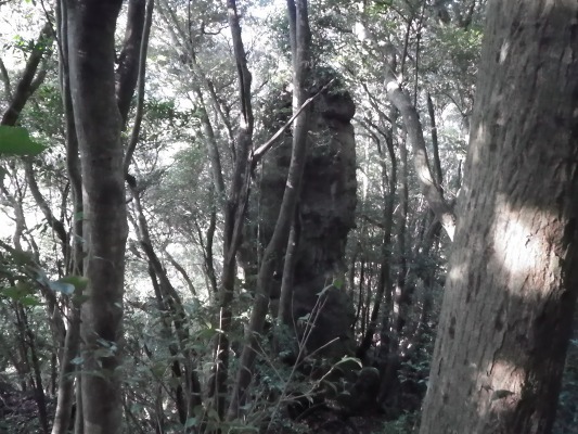 f0187402_17263912.jpg