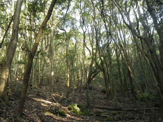 f0187402_17265968.jpg
