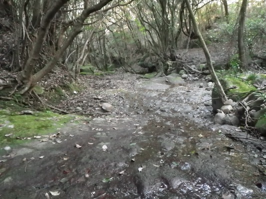 f0187402_17271229.jpg