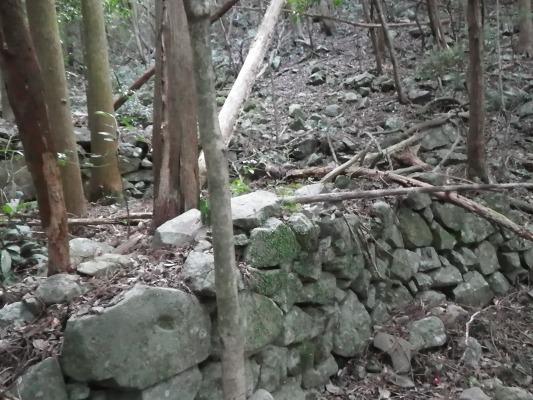f0187402_17272272.jpg