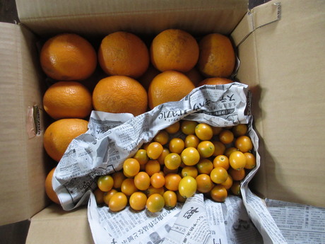 a0203003_2232766.jpg