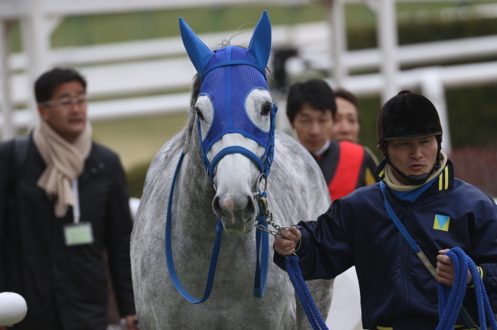 2016 日経新春杯_a0342506_15063398.jpg