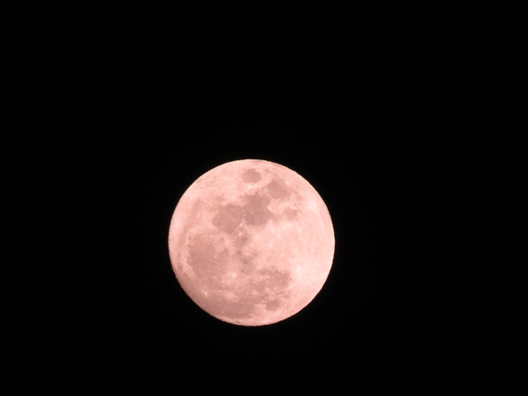 d0237309_21494839.jpg